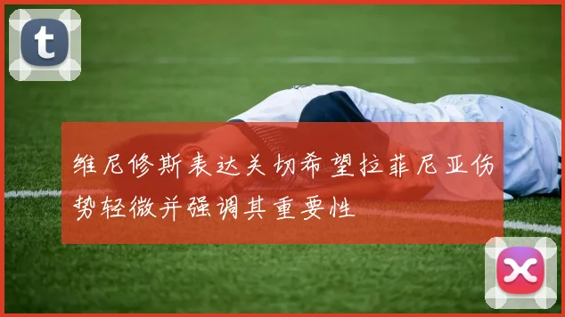 维尼修斯表达关切希望拉菲尼亚伤势轻微并强调其重要性
